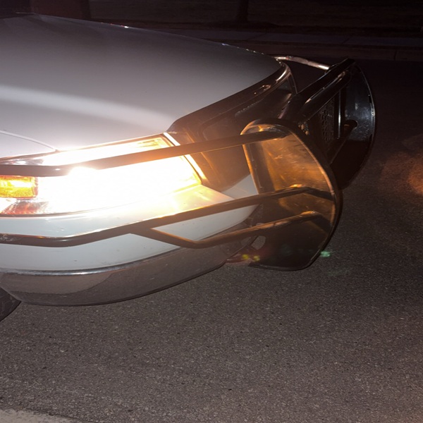 Not Even a Scratch or Dent